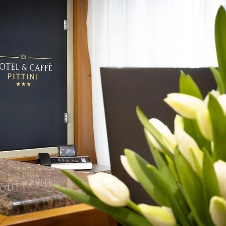 Hotel Pittini