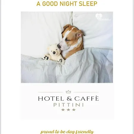 Pittini Hotel 3*